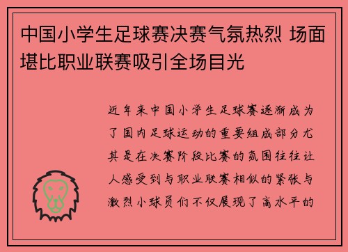 中国小学生足球赛决赛气氛热烈 场面堪比职业联赛吸引全场目光